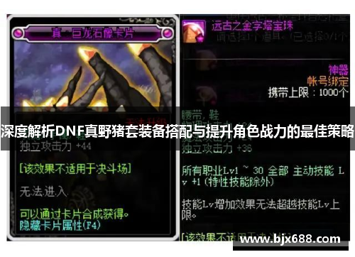 深度解析DNF真野猪套装备搭配与提升角色战力的最佳策略