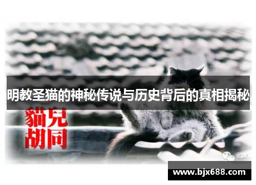 明教圣猫的神秘传说与历史背后的真相揭秘