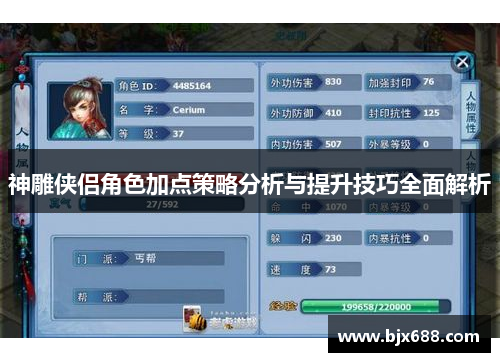 神雕侠侣角色加点策略分析与提升技巧全面解析