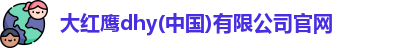 大红鹰dhy